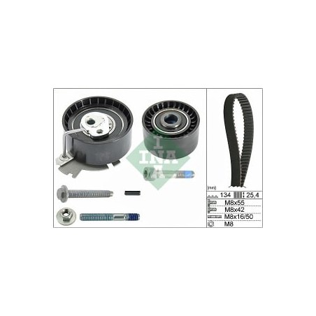 Kit distribuzione Ina 530037910