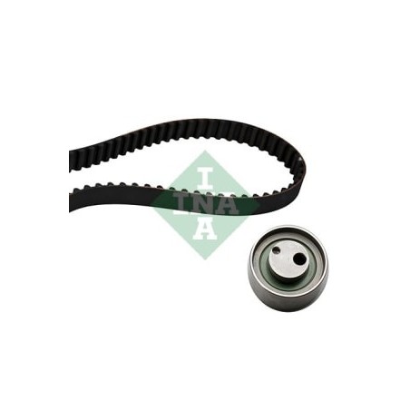 Kit distribuzione Ina 530032310