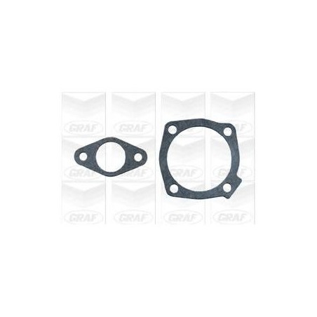 Pompa acqua Graf PA496 - Alfa 155