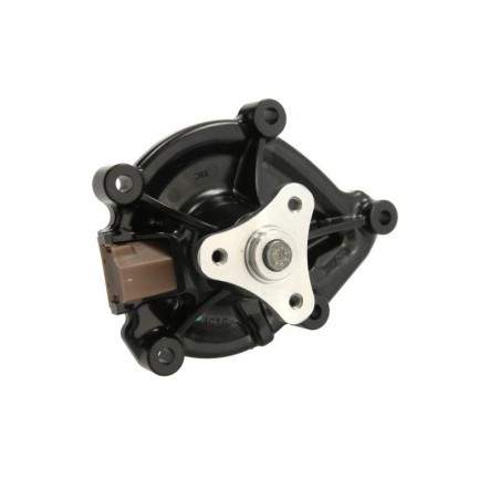 Pompa acqua Citroen e Peugeot -  D1P046TT