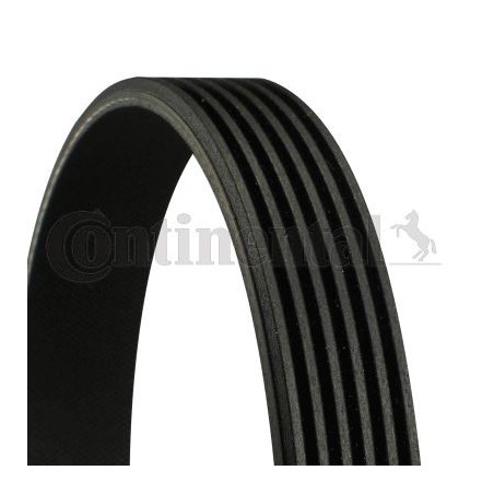 6PK1836 - Cinghia Poly - V