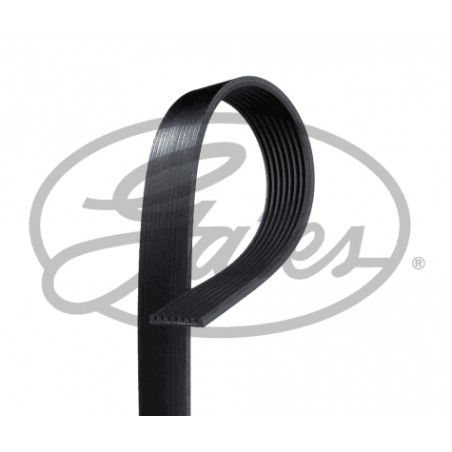 Cinghia  Poly-V - 8PK1688HD