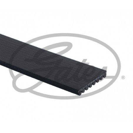 Cinghia  Poly-V - 8PK1688HD