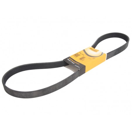 7PK1272 - Cinghia Poly -V