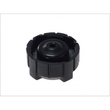 Tappo Vaschetta acqua IVECO DAILY I,II, CLS (C219), E T-MODEL (S211), E,S (W221), SLR (R199), ABARTH 500/595/695, G. PUNTO