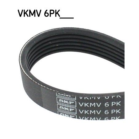 6PK1520 - Cinghia Poly V FORD C-MAX, FOCUS C-MAX, FOCUS II, SEAT AROSA, SKODA OCTAVIA I, VW LUPO I 1.0/1.4/1.8D 10.98-09.12