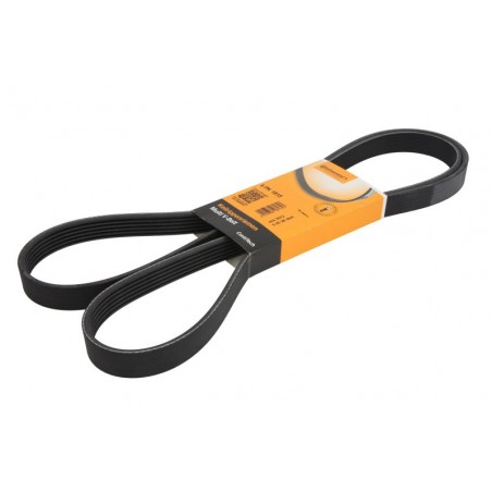 6PK1815 - Cinghia Poly V