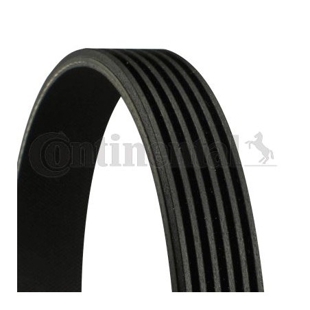 6PK1815 - Cinghia Poly V