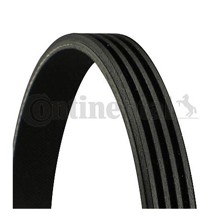 4PK962 - Cinghia Poly -V