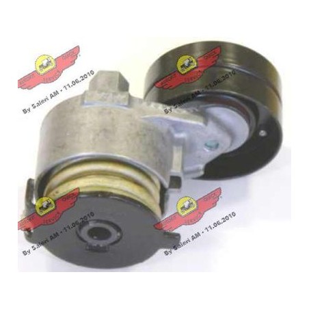 Braccio tenditore Poly-V RENAULT CLIO III, GRAND SCENIC II,III, MEGANE I,II,III, SCENIC II,III 1.9D/2.0 01.02-*