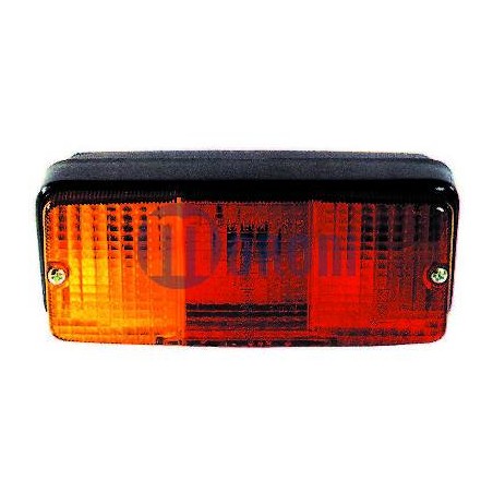 Fanale posteriore DX / SX con luce targa