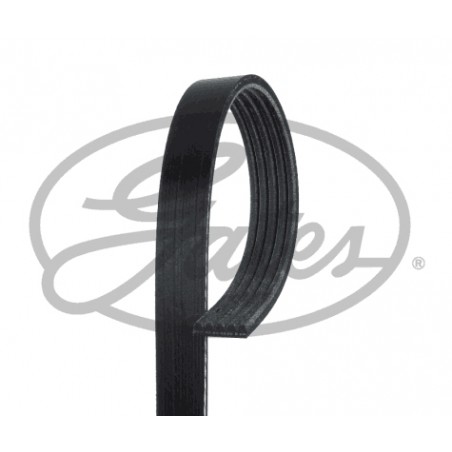 5PK2030 - Cinghia Poly-V