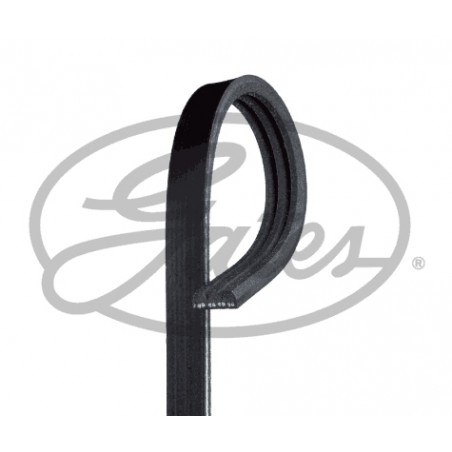 3PK738 - Cinghia Poly-V