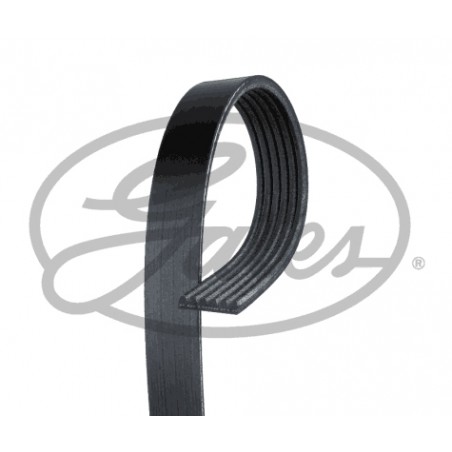 6PK1660 - Cinghia Poly-V