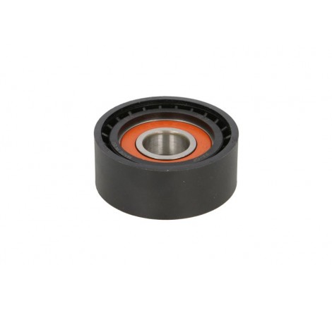 Tenditore Poly-V MINI...