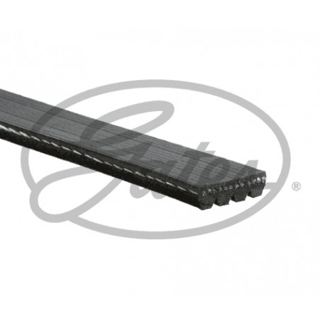 4PK810SF - Cinghia Poly-V