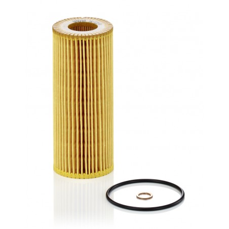 Filtro olio BMW 3 (E46,E90,E91,E92,E93), 5 (E60,E61), 6 (E63,E64), 7 (E65,E66,E67), X3 (E83), X5 (E53,E70), X6 (E71, E72)*