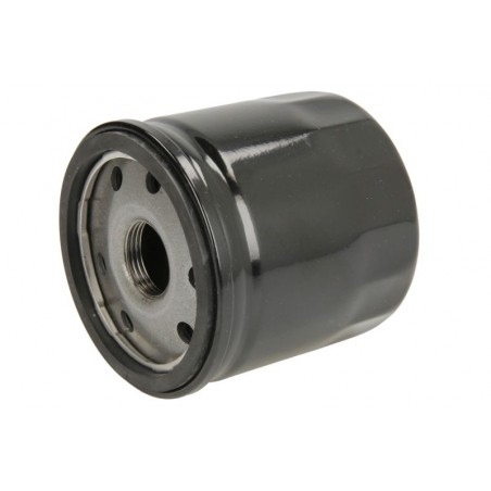 Filtro olio CITROEN JUMPER II, FIAT DUCATO,FORD FOCUS IV,GALAXY III,KUGA III,MONDEO V,S-MAX,TOURNEO CUSTOM V362*