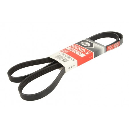 5PK1665 - Cinghia Poly-V
