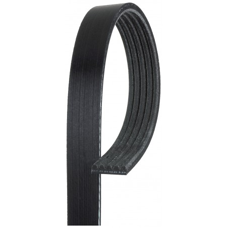 5PK1665 - Cinghia Poly-V