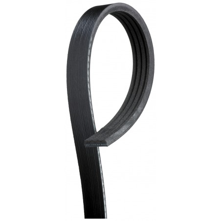 4PK928 - Cinghia Poly V