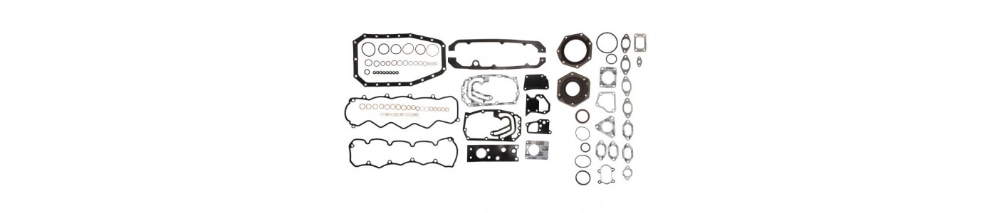 Kit guarnizioni motore