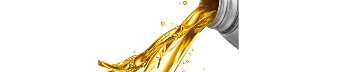 Olio cambio automatico -Autoricambi Botteri Artena